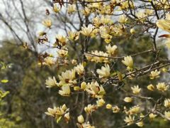 -白塘生态植物园