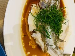 -五谷芳乳鸽王（大梅沙总店C区）(网红打卡店)