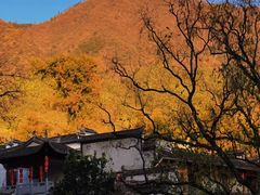 -塔川景区