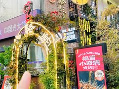-福苗小骆驼烧烤(莲湖路店)