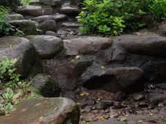 -中国茶叶博物馆(双峰馆区)