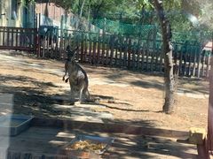 -大连森林动物园