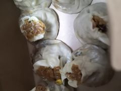 -一品净素包子(旬阳路店)