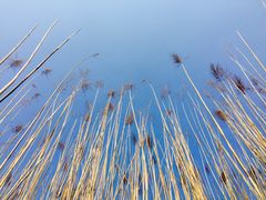 -野鸭湖国家湿地公园