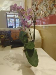 -北京俪婴妇产医院(朝阳大悦城店)