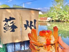 -欢乐蟹庄·精品农家乐(阳澄湖莲花岛店)