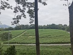 -宜兴龙背山森林公园