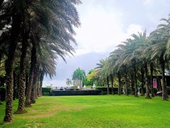 -三亚海棠湾万丽度假酒店