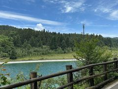 -武陵山森林公园