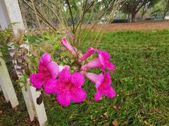 -眉山湿地公园(东坡区)