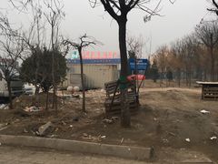 -中环花鸟鱼虫市场