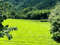 -敬亭山风景名胜区