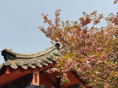 -石岛赤山风景区