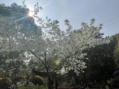 -厦门园林博览苑