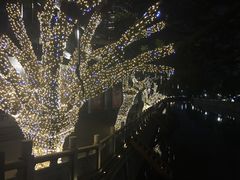 -喜茶(广州天汇igc店)