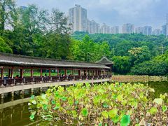 -龙头寺公园