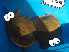-功夫小龙虾·烧烤·江湖菜(金沙洲店)