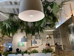 大堂-喵喵咪呀布偶猫咖(春熙路店)