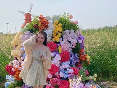 -杭州湾海上花田景区