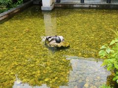 -法云安缦酒店