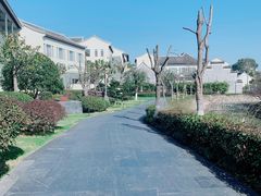 -东钱湖旅游度假区