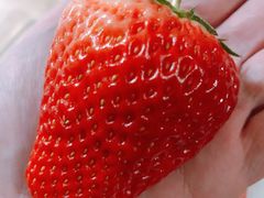 -锦绣大地生鲜食品厅