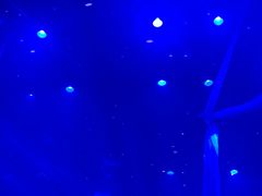 -CLUB OPUS欧贝斯酒吧(合肥店)