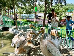 -水上乐园·欢乐世界