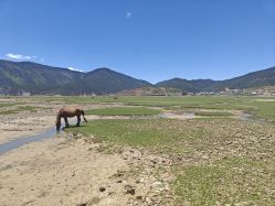 -纳帕海依拉草原