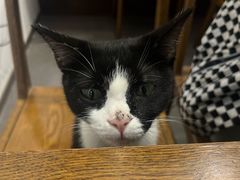 -原田新料理(1912店)