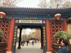 -大槐树寻根祭祖园
