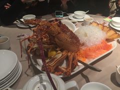 澳龙刺生-八樂居