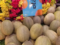 -百果园PAGODA(玄武成贤街店)