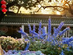 -广州市白云山风景名胜区