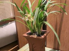 -南堂小馆·川菜馆(德商国际店)