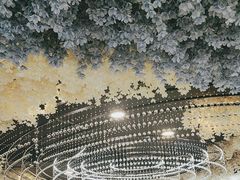 -普天和酒楼·新津菜·烤鸭(天津之眼店)