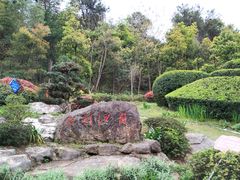 -铁山坪森林公园