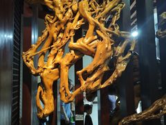 -烟台自然博物馆