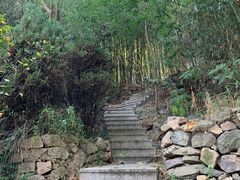 -石老人观光园
