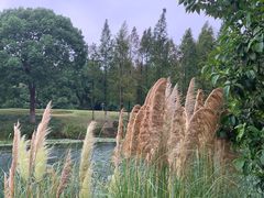 -阳澄湖费尔蒙酒店