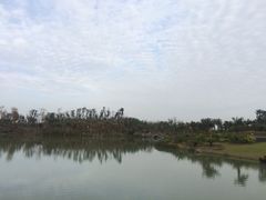 -瑶湖郊野森林公园