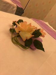 -本真坊美容美体沙龙