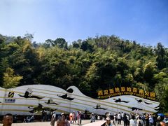 -西双版纳原始森林公园