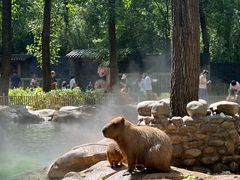 -北京野生动物园