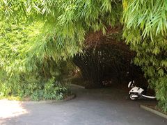 -阿哈湖国家湿地公园