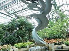 -南山植物园