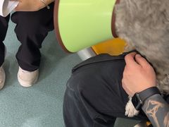 -动物缘宠物医院·骨科·猫科(西二环店)