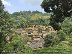 -杨家堂村