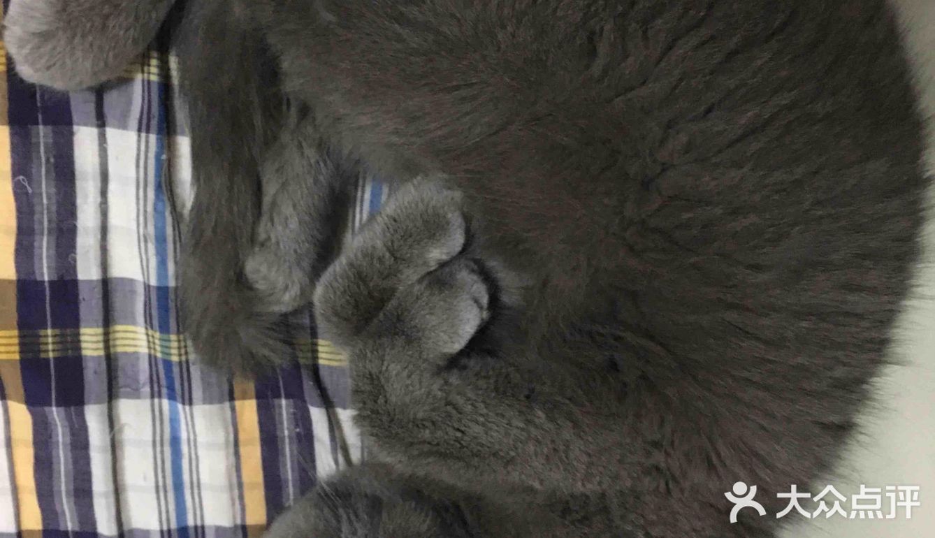 对不起的淘小桃🍑为什么不能珍惜过去的好时光？