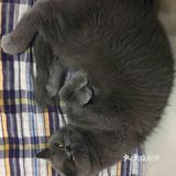 对不起的淘小桃🍑为什么不能珍惜过去的好时光？